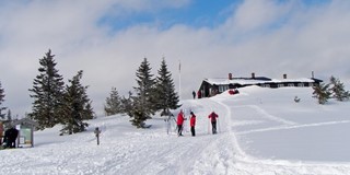 Turforslag